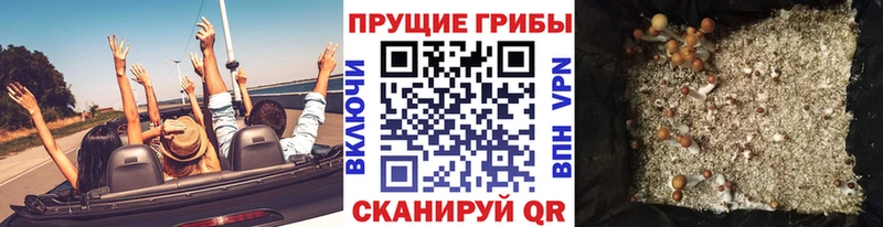Купить где  Сафоново  Псилоцибиновые грибы Magic Shrooms 